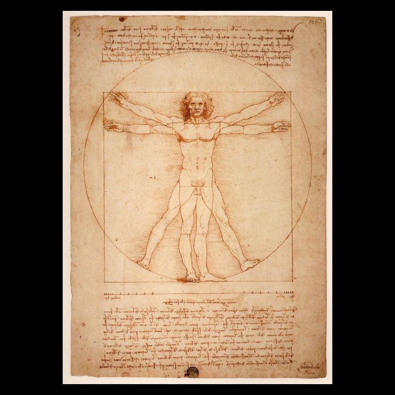 leonardo da vinci humane