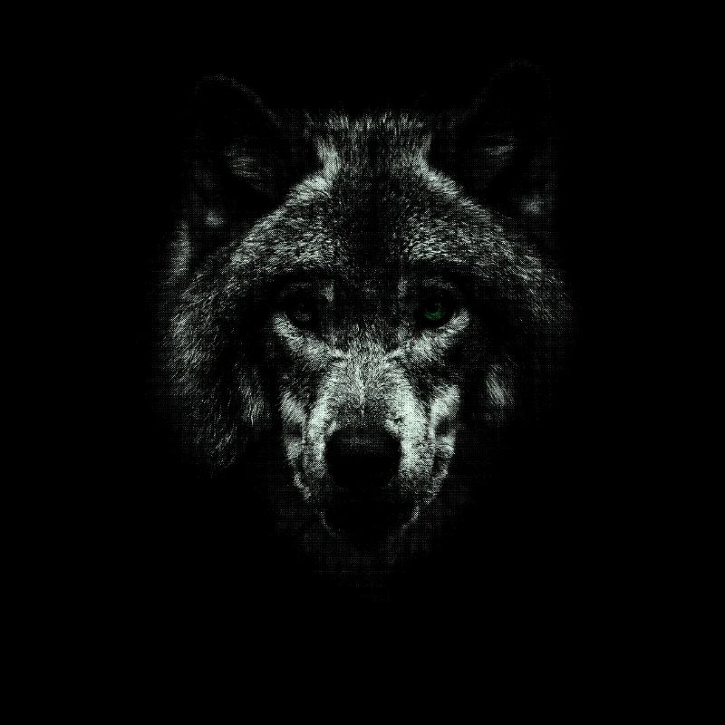 WOLF