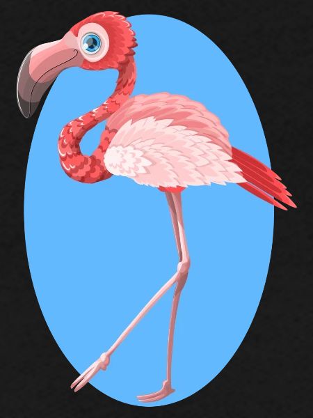 flamant