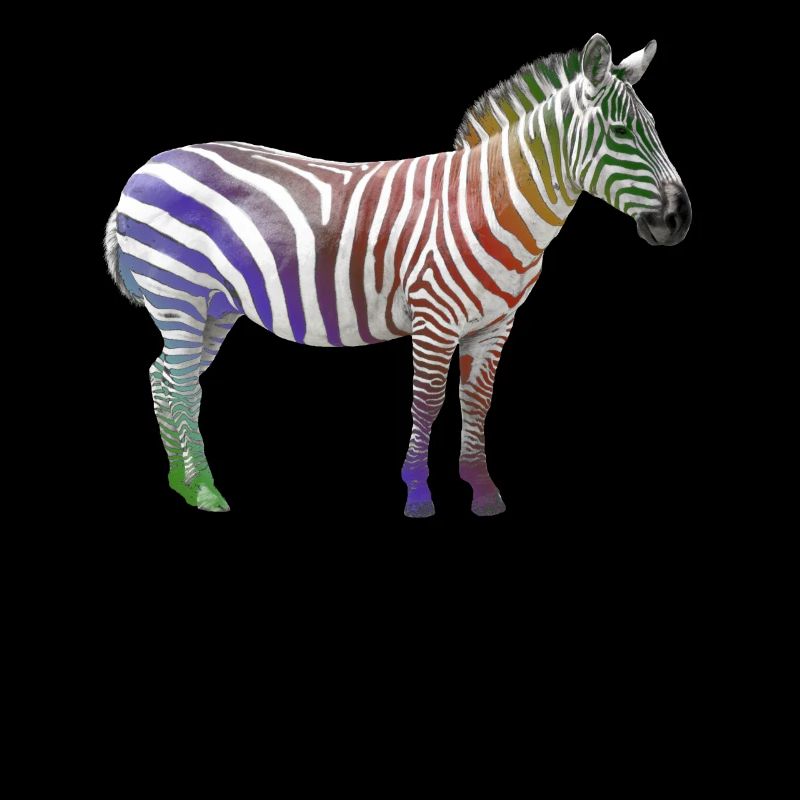 Zebra Regenbogen - Zebra Wildtier in Afrika