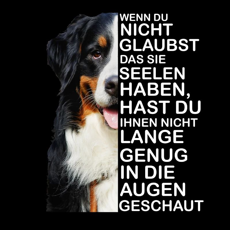 Bernese Mountain Dog soul regarde un propriétaire de chien