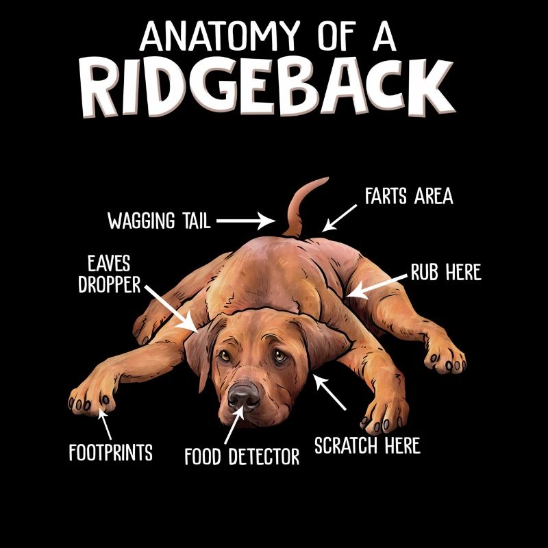 Rhodesian Ridgeback