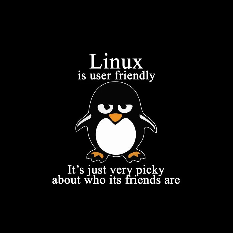 Programming Computer Science Gift · Friendly