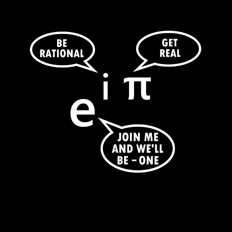 Mathématicien cadeau professeur de mathématiques Nerd Euler Pi