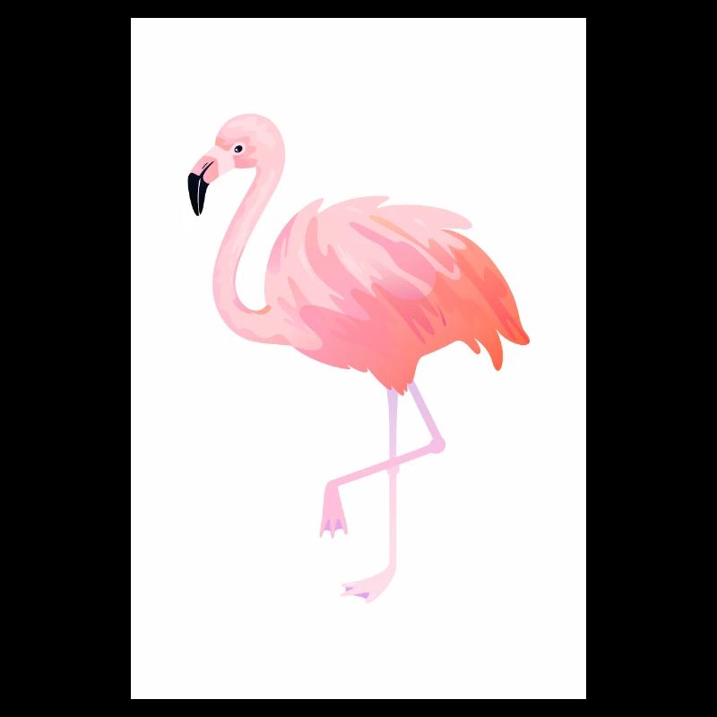 Flamingo illustration