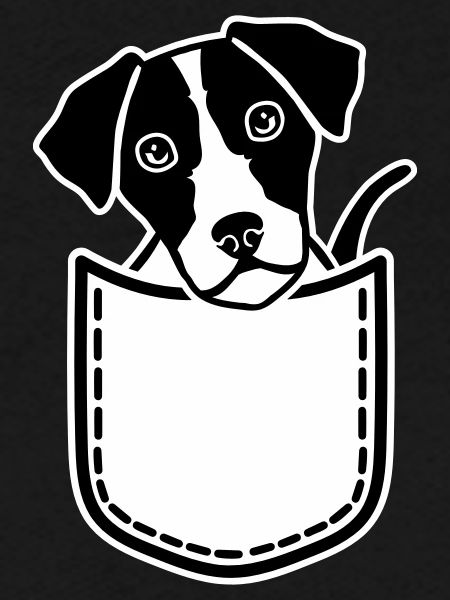 Jack Russell