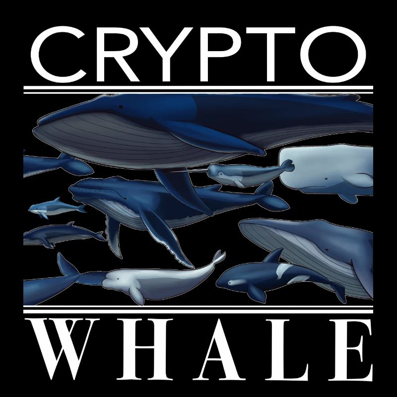 Crypto Whale Wale Kryptowährung Geschenk Idee