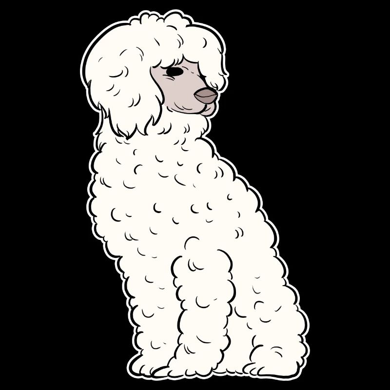 Caniche Chien Nain Caniche Jouet Caniche Petit Caniche Chiot Chiot