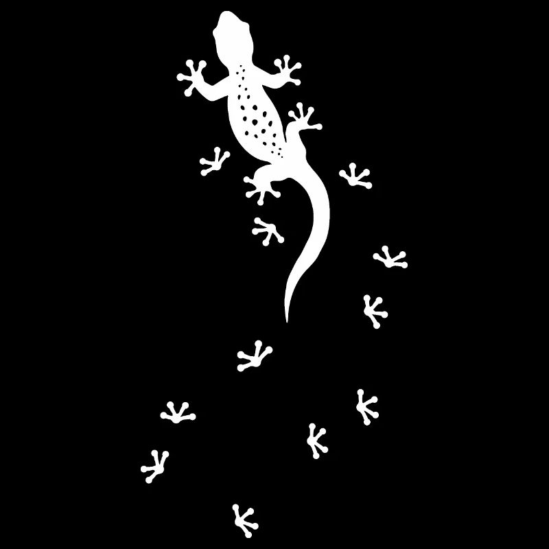 Gecko Salamandre Traces Drôle d’animal