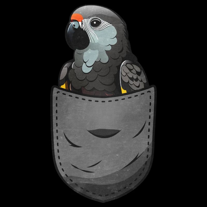 Cadeau de perroquet gris africain