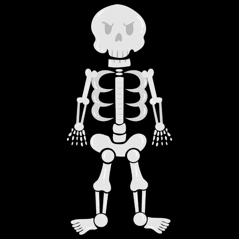 Skeleton