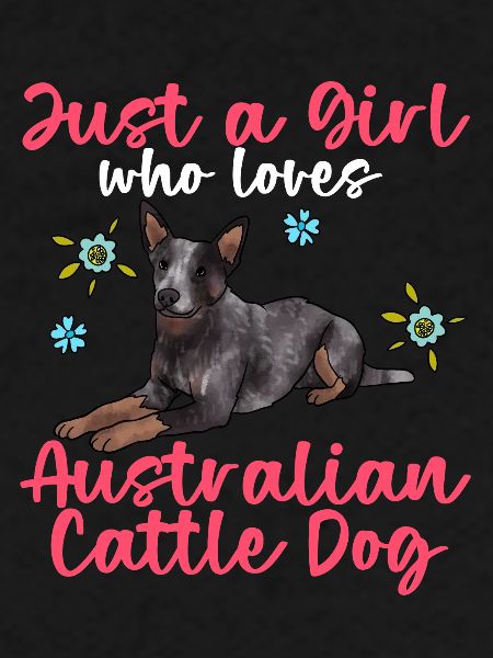 Bouvier australien