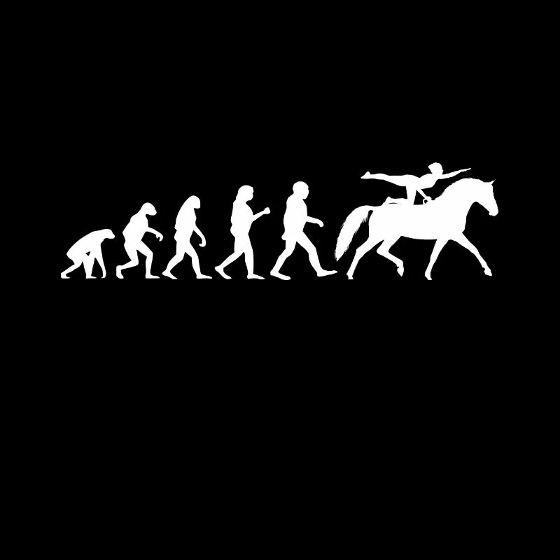 Evolution Voltigier Chevaux Équestres Voltige