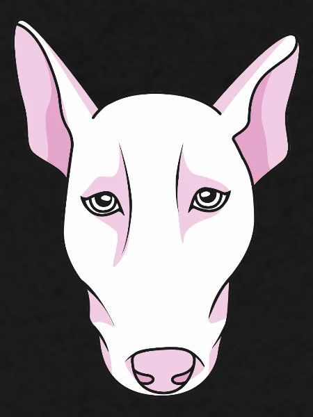Bull terrier
