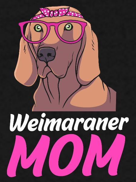 Weimaraner
