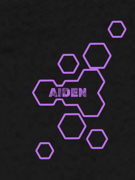 Nom : Aiden