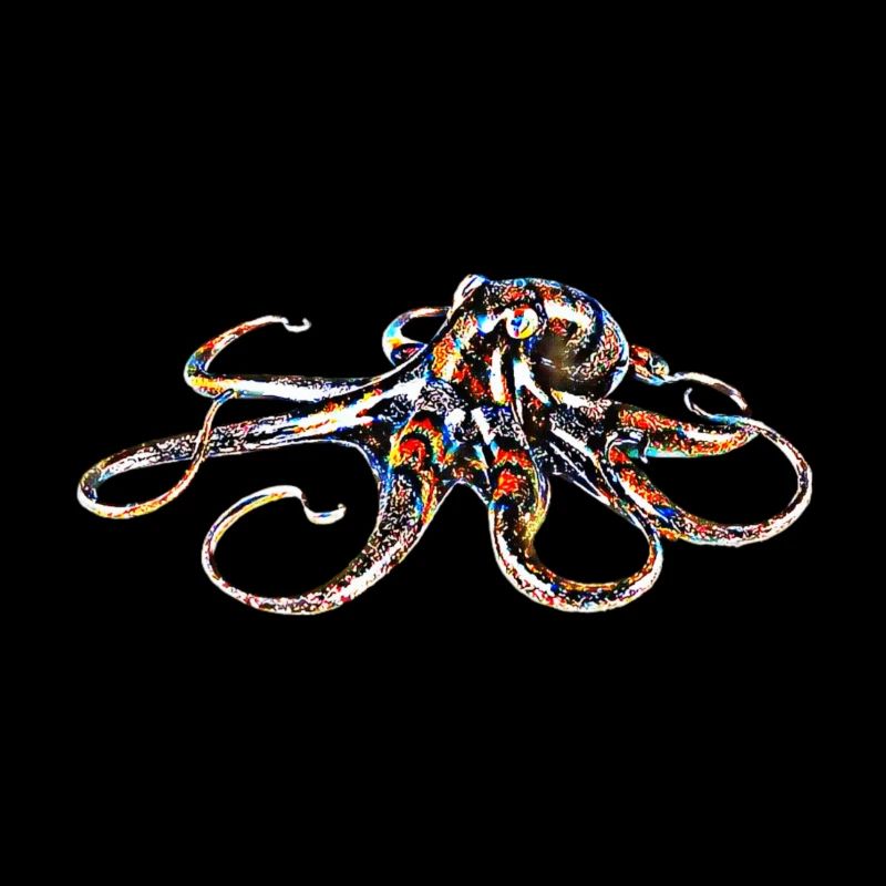 Octopus
