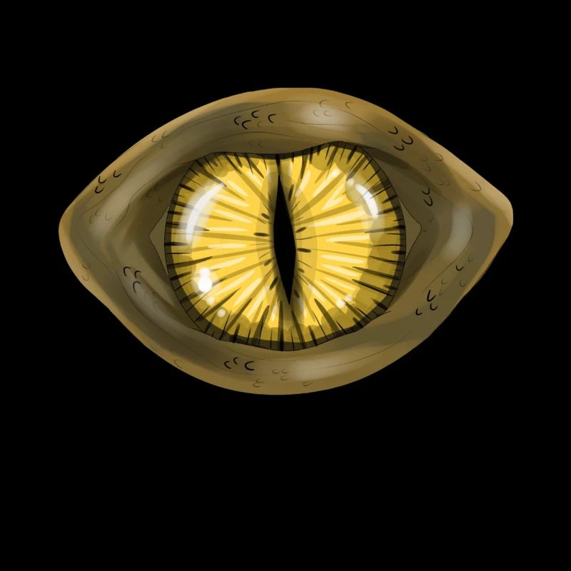 Eye reptile lizard