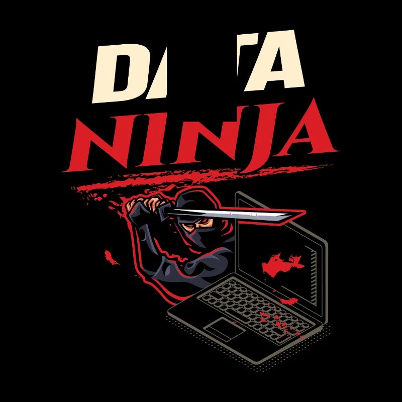 Data Ninja computer programming coder