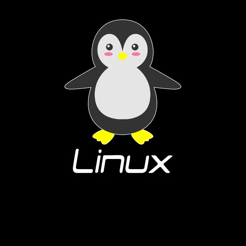 Geek Linux
