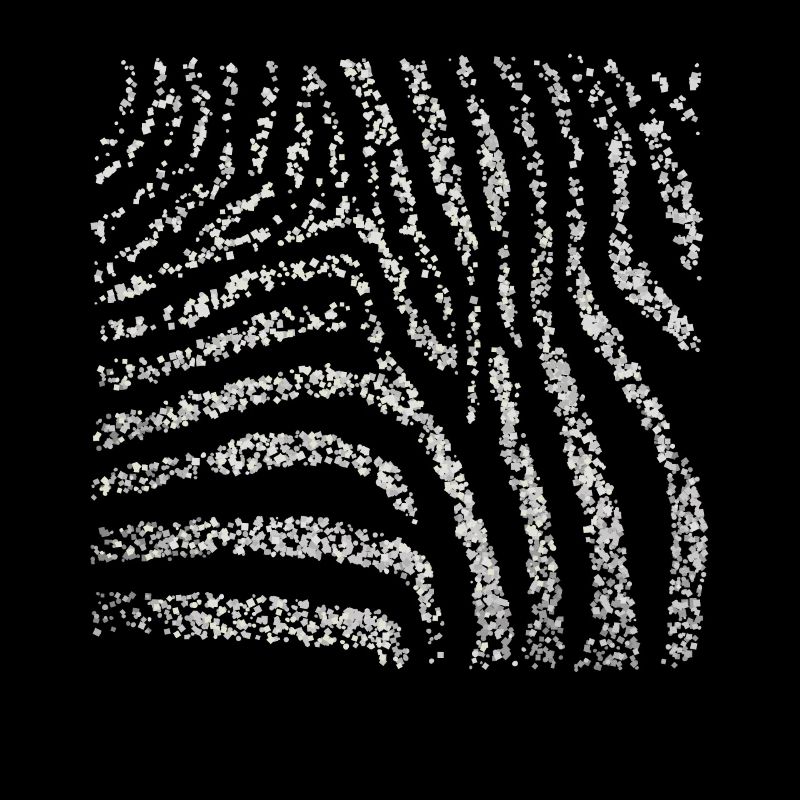 Zebra Zebra Crossing Pattern Costume Replacement Carnival