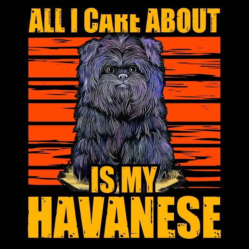 All i care about is my Havanese