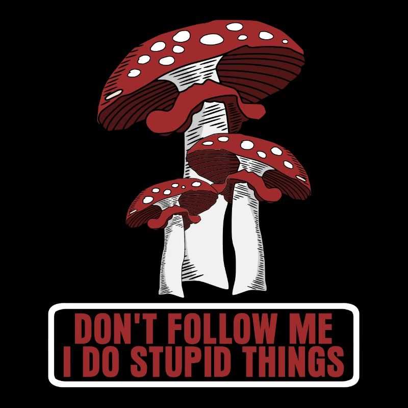 Fly agaric Fly agaric Mushroom Pickers