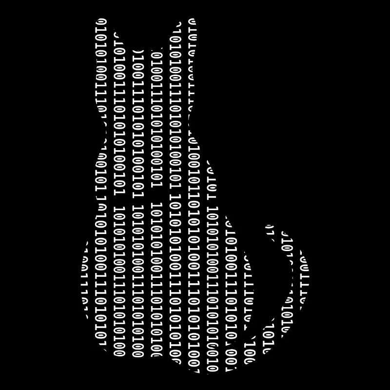 Informaticien Cat Admin Programmeur