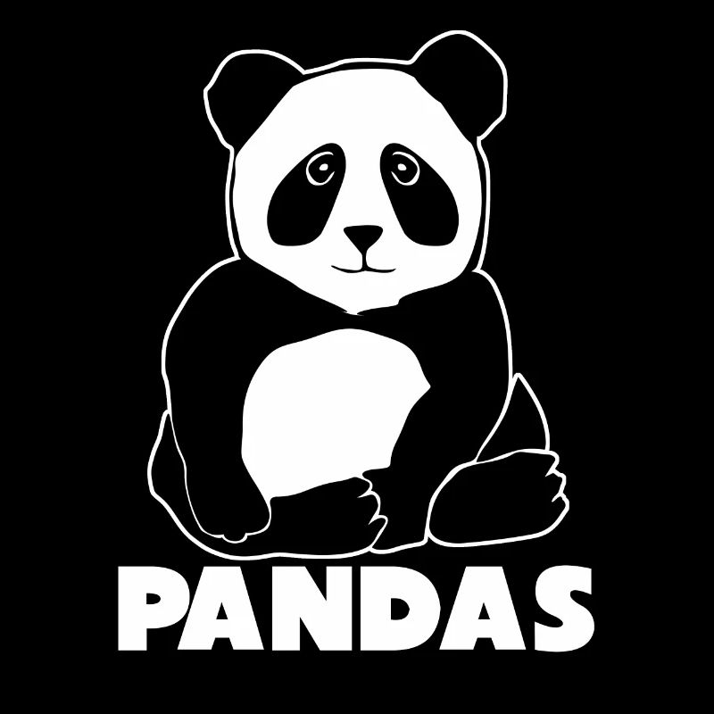 Panda Panda Ours Pandas Géant
