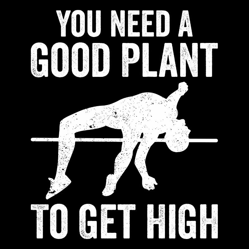 Fun pole vault