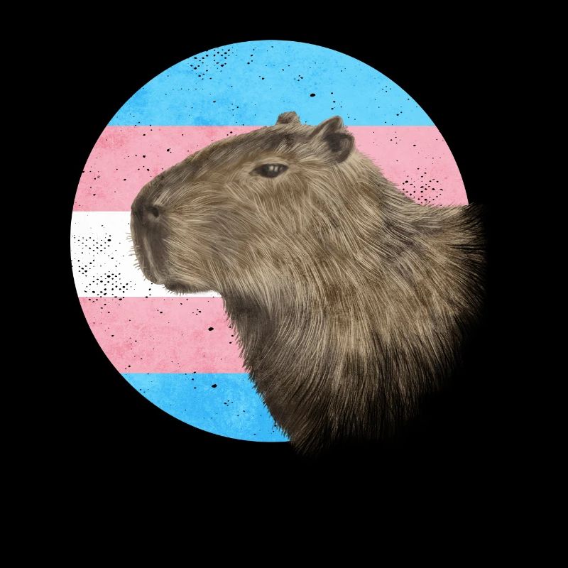 Fierté transgenre Drapeau trans Capybara Sublte LGB