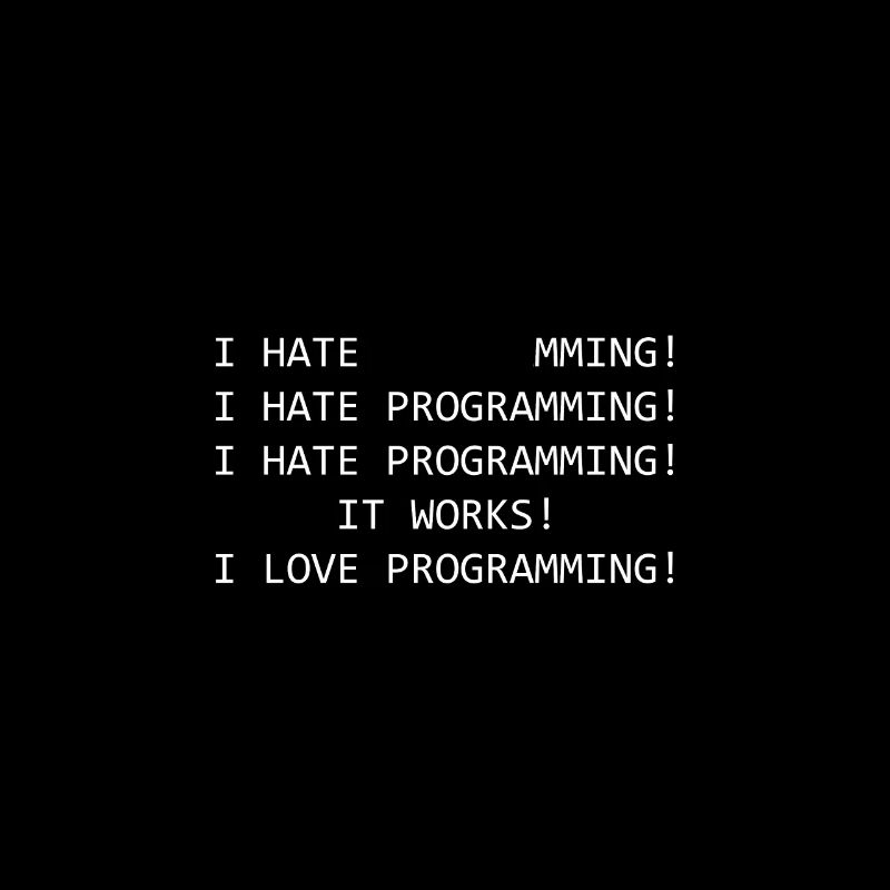 Lustiger Spruch Programmieren Informatiker Coder