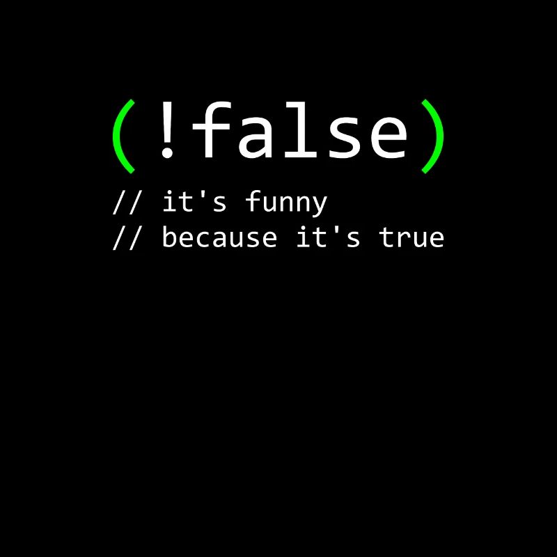 Programmierer Humor false true funny Nerd Geek