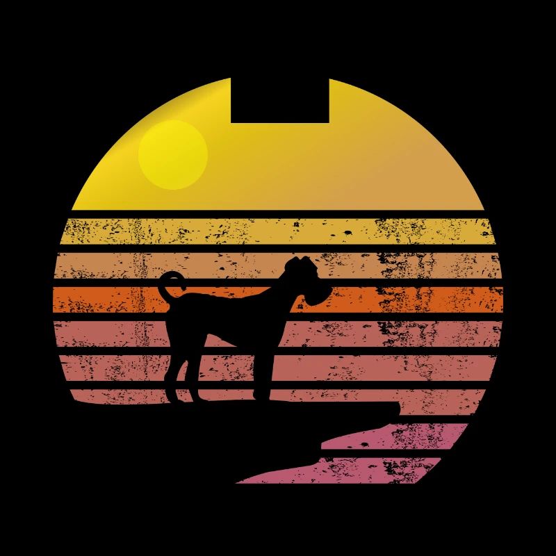 Irish Terrier Soleil Lever de soleil Silhouette