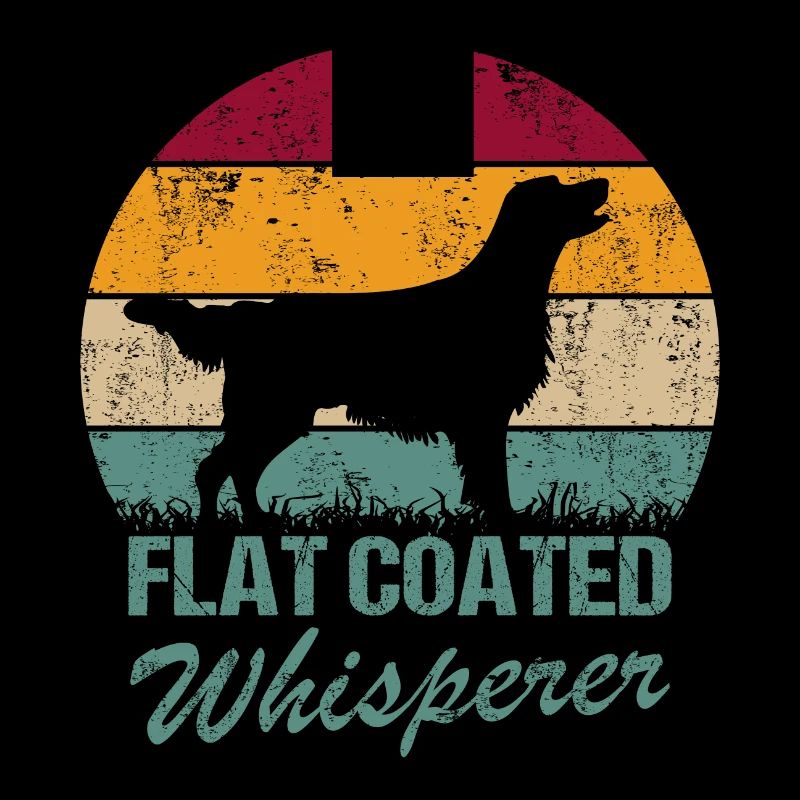 Flat Coated Retriever Chuchoteur