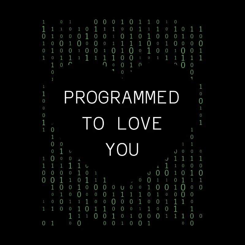 Programmeur Codeur développeur