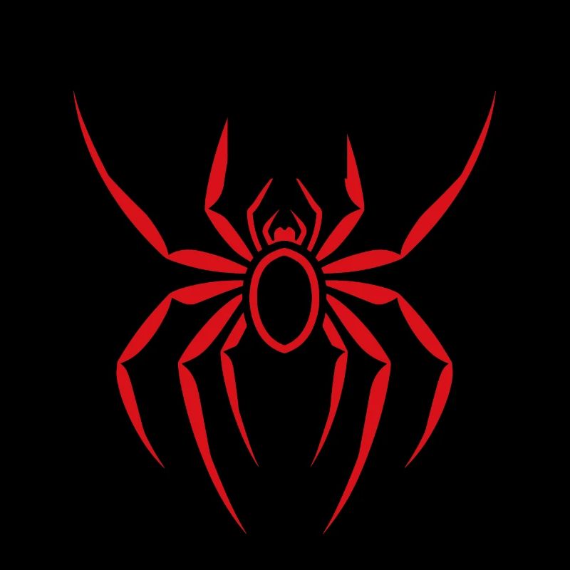 Spinne