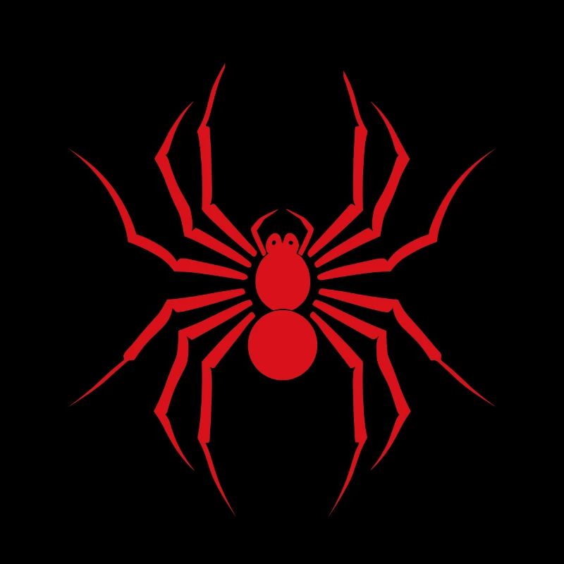 Spinne