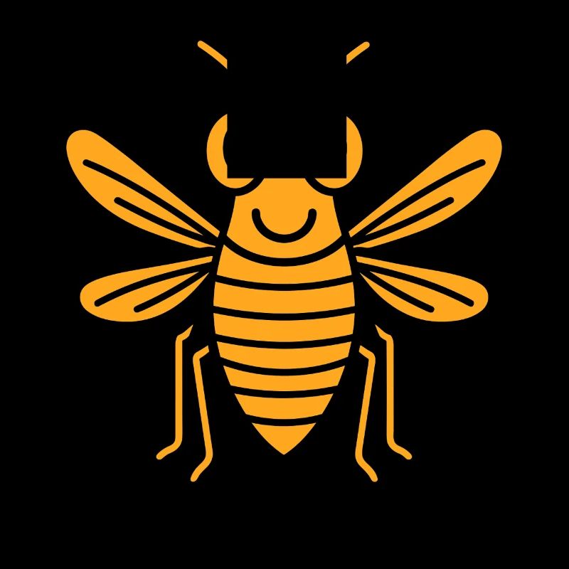 cicada