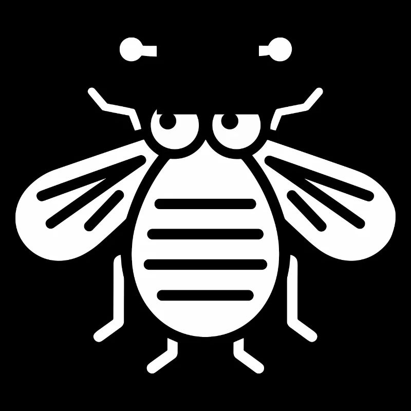 Fly