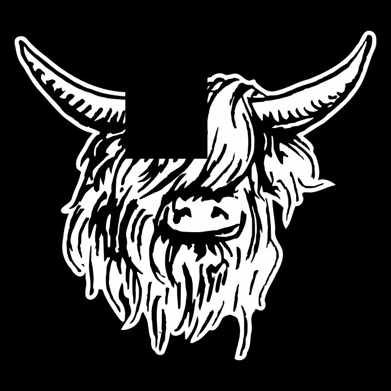 scottish highlander 03 white