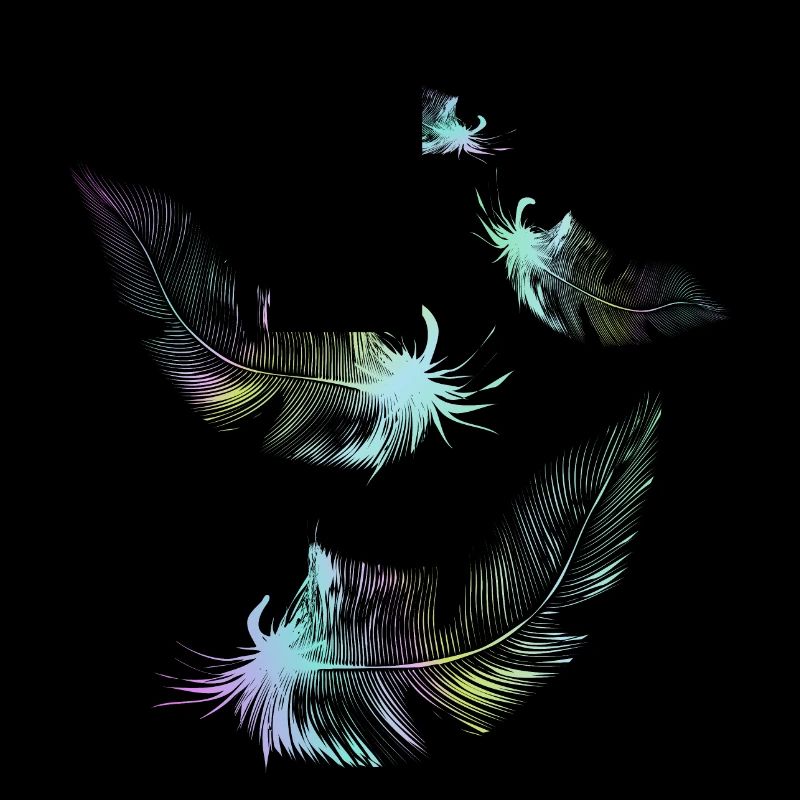 rainbow feathers