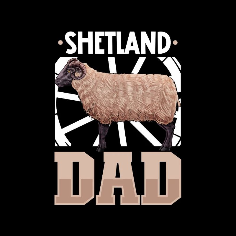 Shetlandschaf Papa