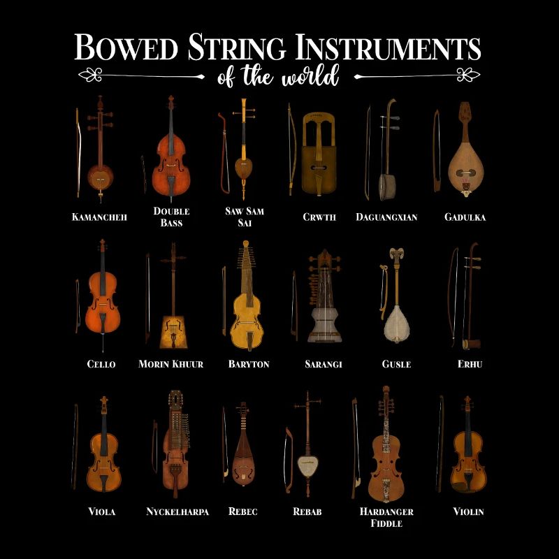 Divers instruments à cordes