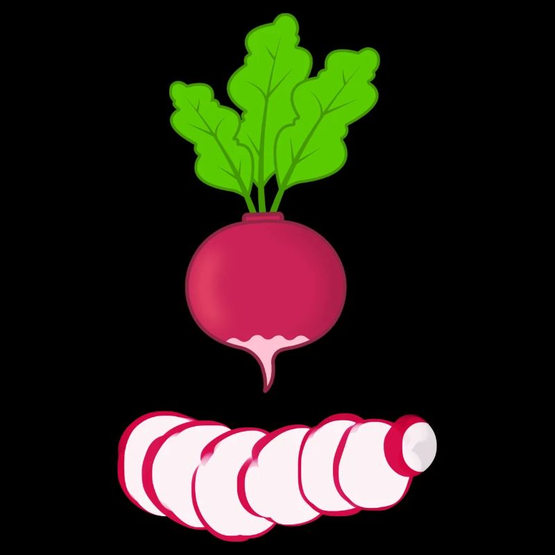 Rotes Radies mit Blättern Gemüse Radieschen