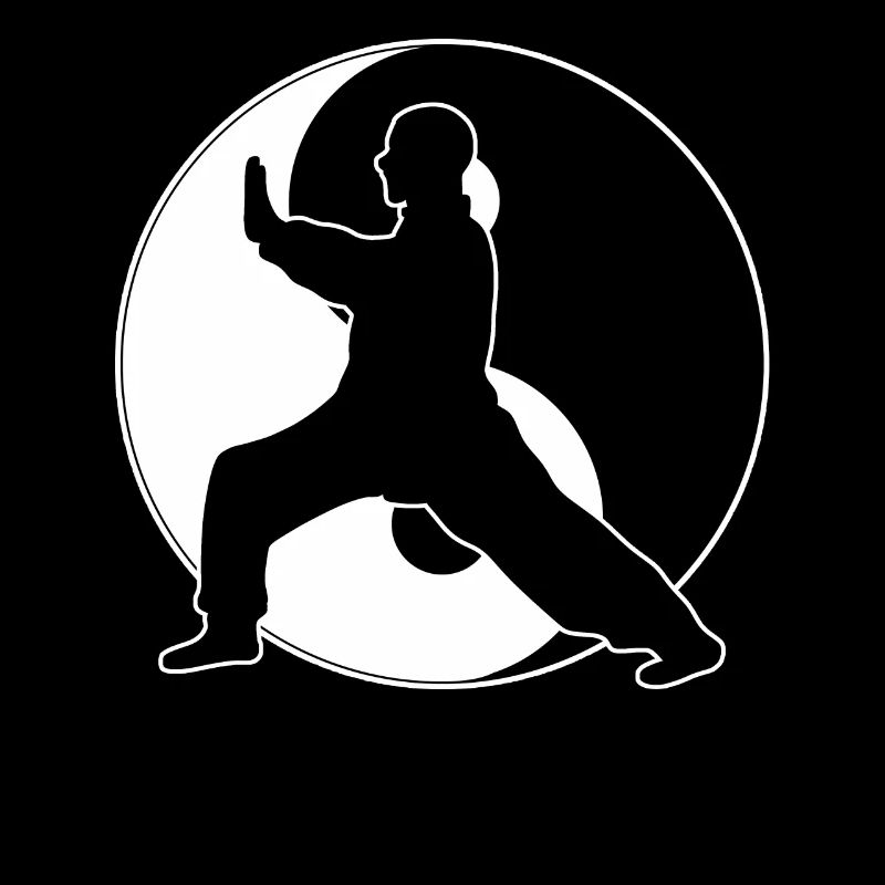 Chinesische Kampfkünste Tai Chi Instructor
