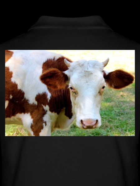 Affiche de vache