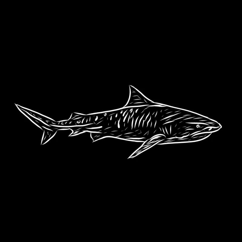 Requin