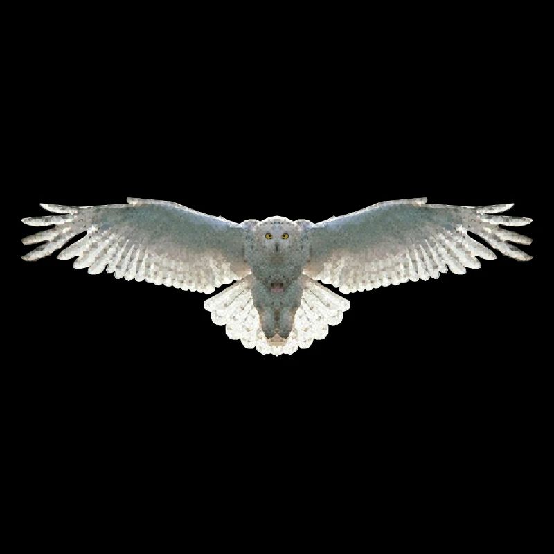 Schneeeule Eule Polygon Vogel Tier Wildtier Uhu