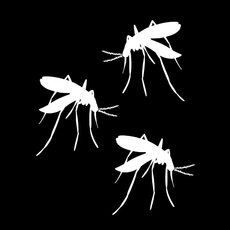 Mosquito MosquitoEs Insects Insect Pest